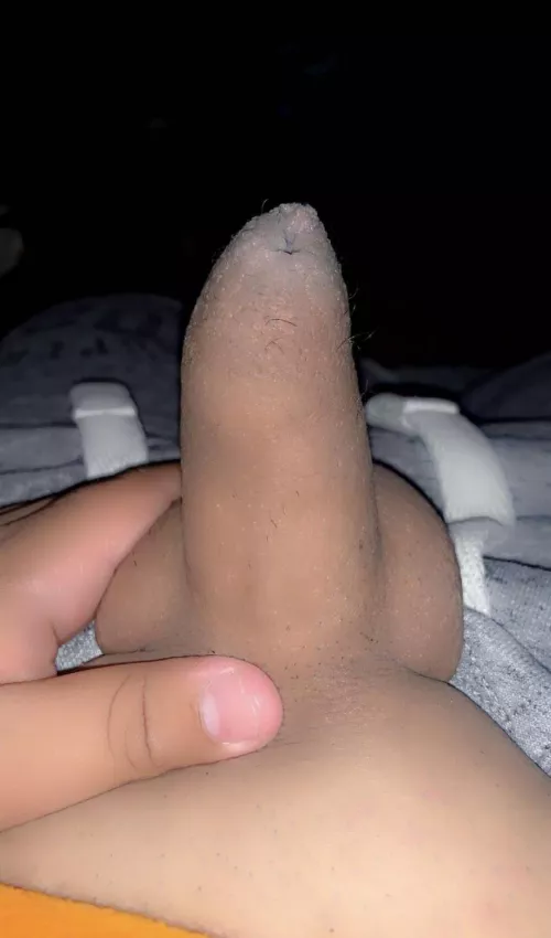 I’m horny help by CcvnYT