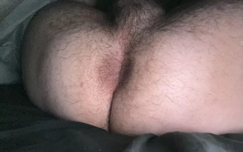 I’m horny! Who wants to breed my hairy hole?😈😈 by Austyn_17