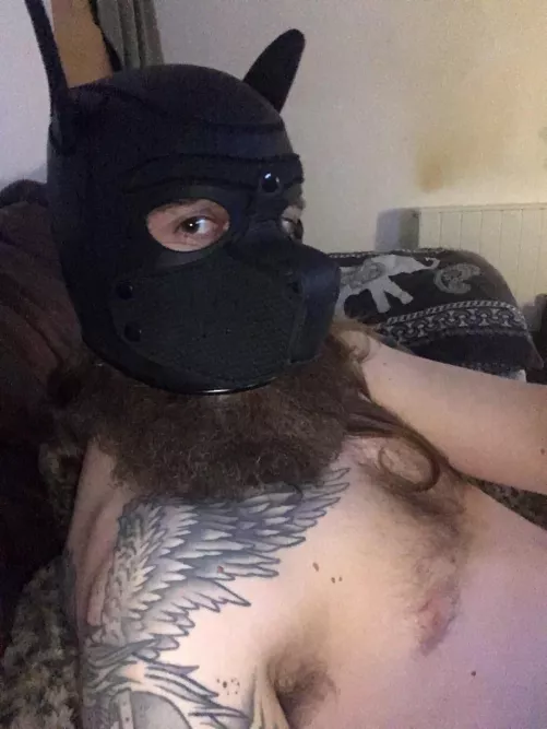 I’m innocent by bhangbhangbhang