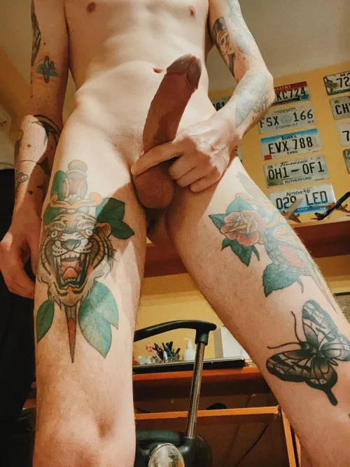 I'm looking for a flatmate who doesn't mind being naked at home by toshvlas