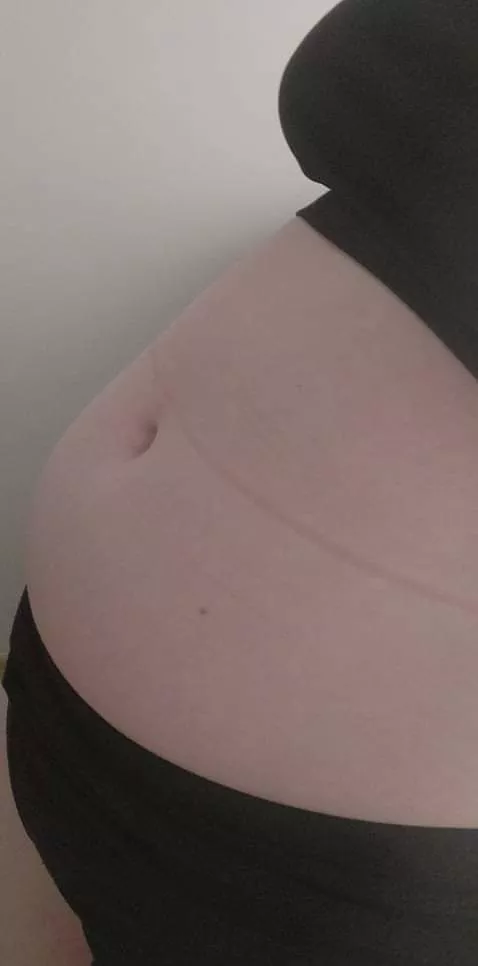 i'm looking for online feeder who would like to make me huge fat pig 😩🐷 posted by little_fatpiggy