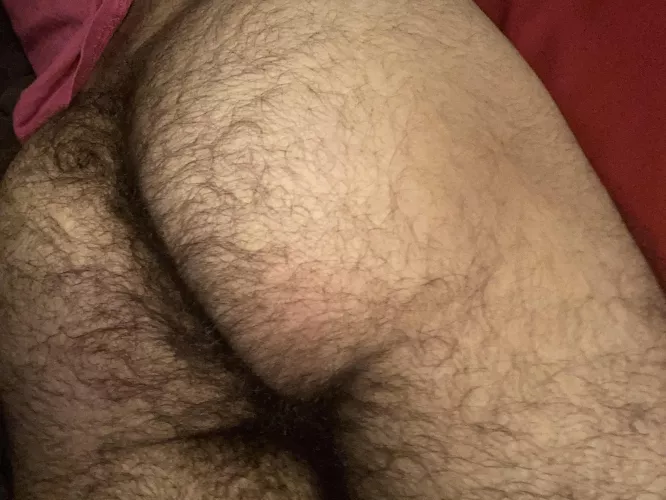 I’m looking for some food to gain weight but I’m low on money… please help me! by DapperSpy