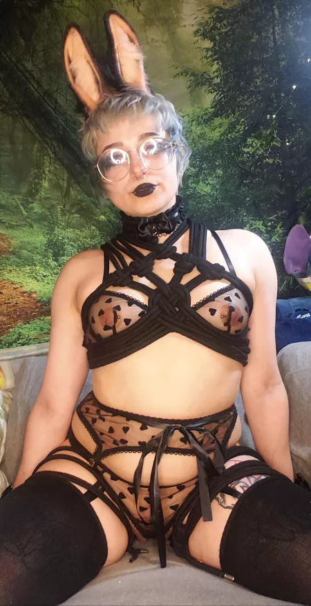 I'm new here, nice to meet everyone! by floral_bunny