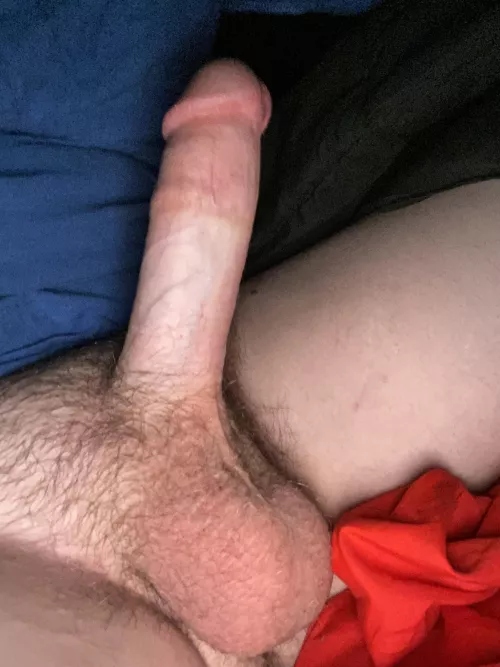 I’m new here would love to hear opinions do they deserve to be here? by No-Artichoke7884