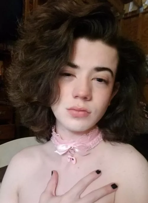 I'm new to collars lol by ShamefulSpots