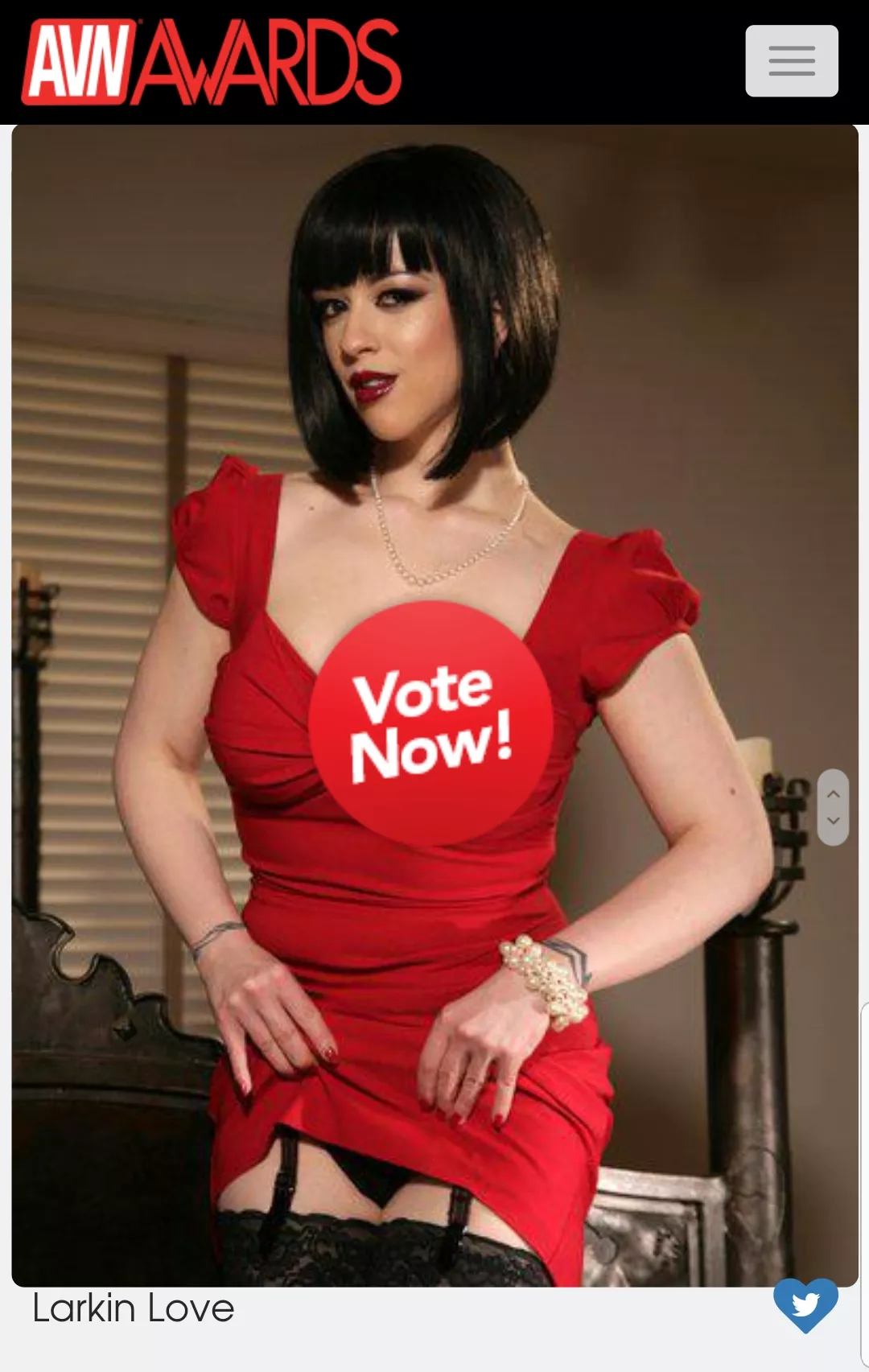 I'm nominated for an AVN Fan Award this year! Please VOTE! Details in comments. posted by larkinlovexxx