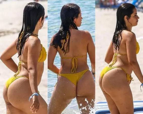 I'm not a huge Camila Cabello fan, but I'm absolutely a fan of her fat ass by Cherry_Butt