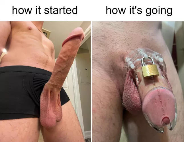 I’m now more fascinated about how small my dick can be by Lucky-Entertainer564