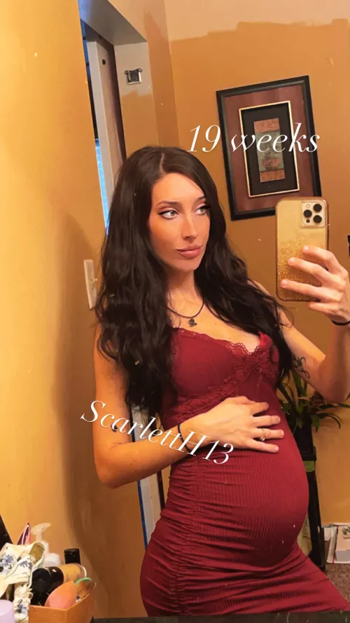 I’m only 19 weeks, we could still have fun tho, right? by 13ScarlettH