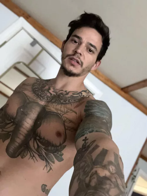 I’m popular with all genders/orientations by Funwithflaco