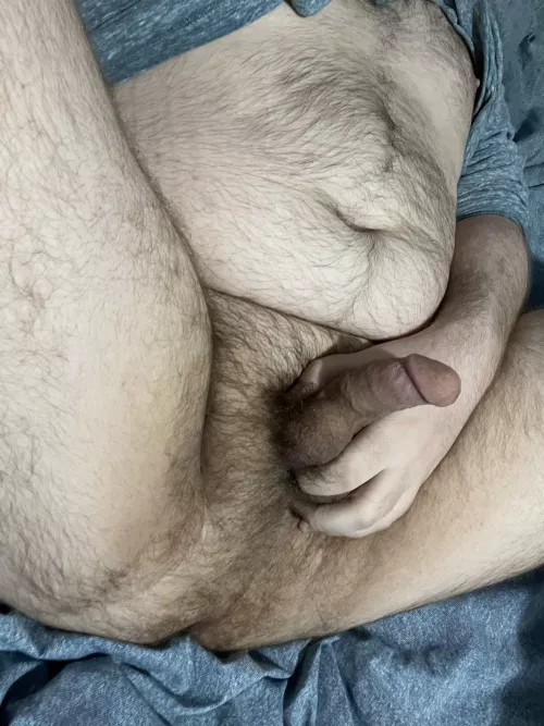 I’m ready to be fucked hard. I’m so horny I’ll give everyone a turn. by shybear24