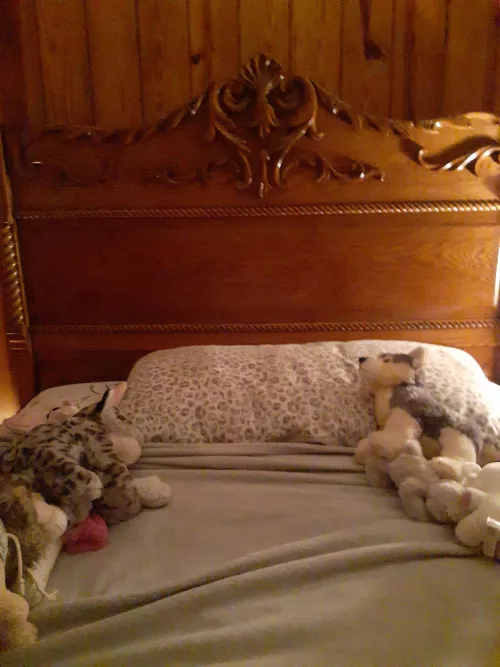 I'm scared to get in bed. Yes, the whole bed is covered with plushies except for that one spot. Yes, half of these plushies are my fursonas. by buzzibuzz164