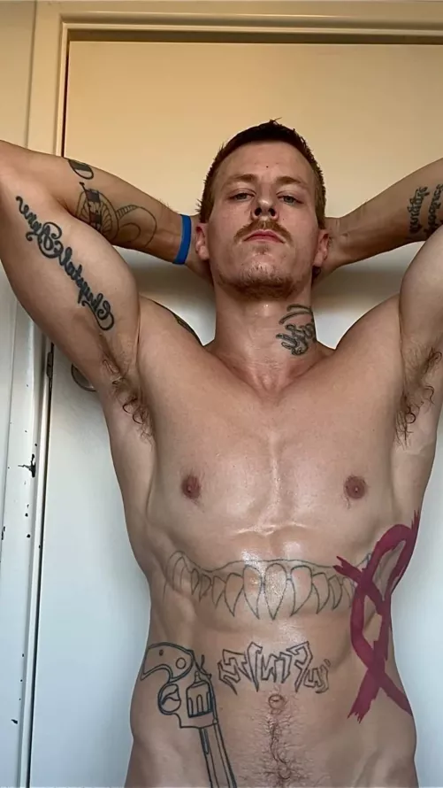 I'm shredding...what ya think? by alecnysten