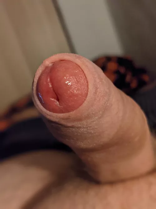 i'm so horny by jodelinei