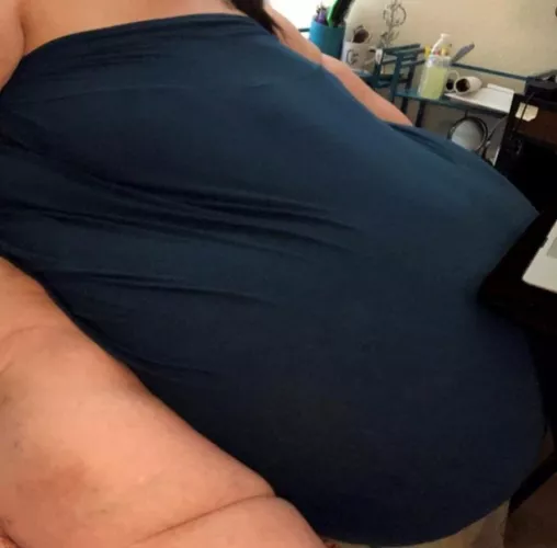 I’m so morbidly obese, the only thing that can cover this massive gut is a sheet! 🥵🐷🐷🐷 oink oink! message me! by immobileblob