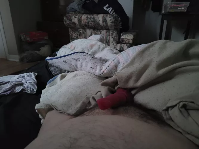 I'm trans and this just makes me happy. one day it'll be a real dick ;3 by Unique-Layer-162