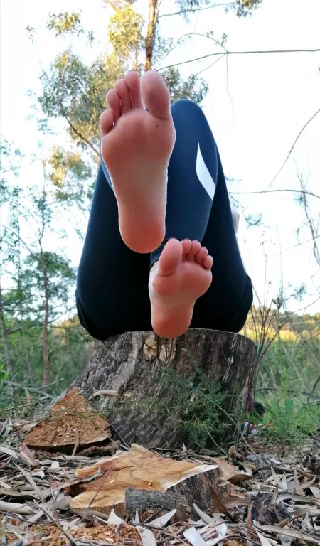 Imagine seeing this in the wild. by qtpaiii