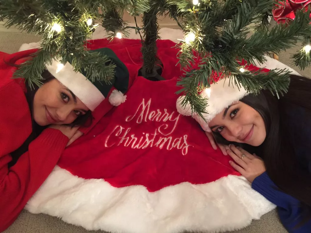 Imagine unwrapping the Merrell Twins for Christmas 🤤 posted by FuzzyDunloppin