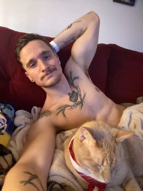 In a mess of blankets with this Christmas joy 😸 by PKMNTRNRDADDY