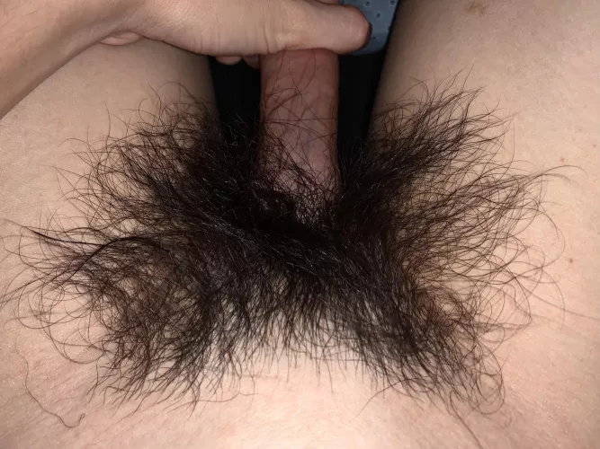 In bed stroking my hard cock and rubbing my hairy thick bush. Send me a DM and tell me what you’d do with my hairy thick bush 😈 by HairyWildBush