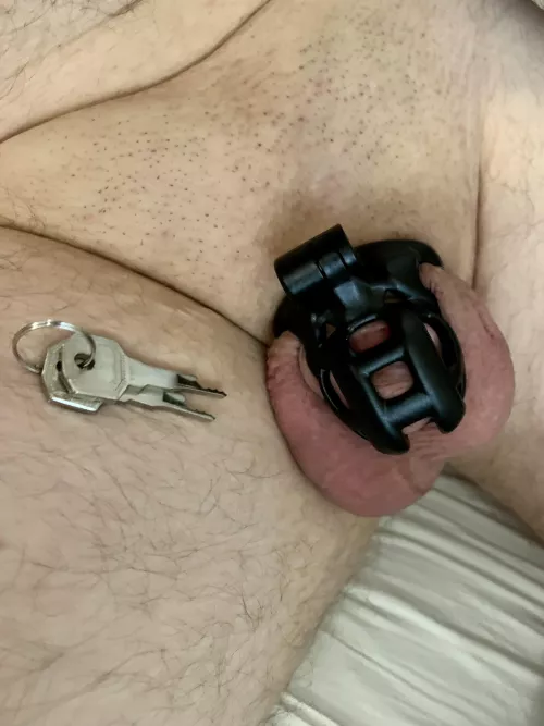 In chastity since last weekend, anyone want the keys? Wife unfortunately doesn’t care about it by PeterServus