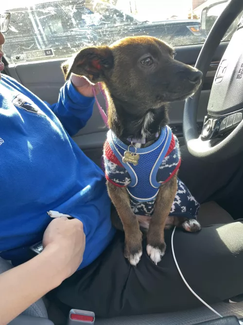 In her very first sweater by plantsl4yer