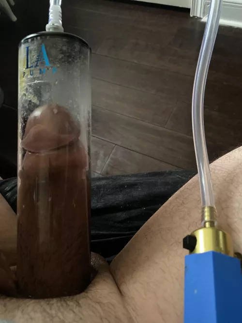 In my elliptical for the first time in a week. This girth is unreal. by Euphoric_Ad_4210