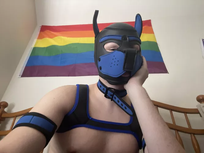 in my gear, do y’all like? by _whatthegay_
