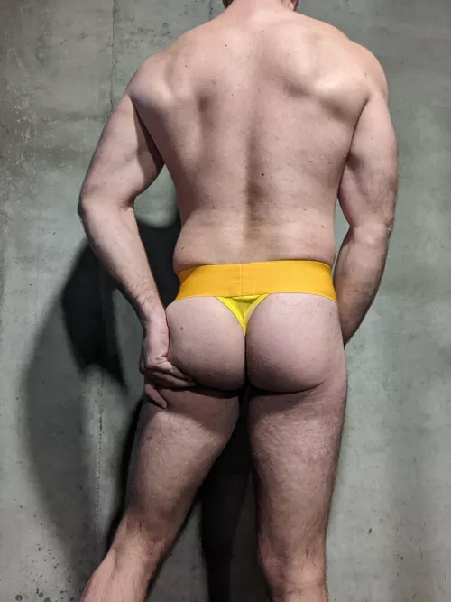 In my gym, would you lift with me, or lift me? by Potential-Sandwich99