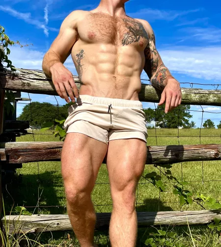 In need of a good servant to help on the farm today. by LevLieben