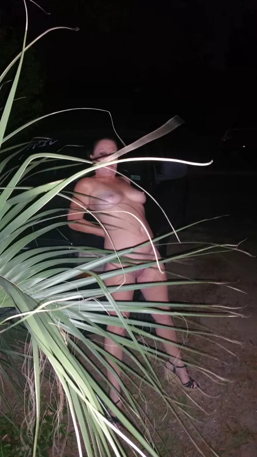 in the front yard for neighborhood to see by Naive-Divide5899