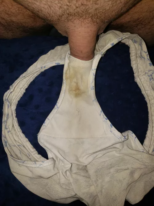 In the gusset by smalldickhubby2020