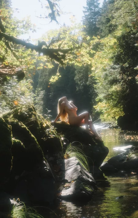 in the light by paredocks