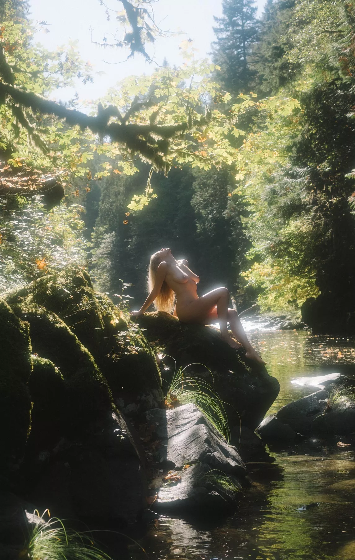 in the light posted by paredocks