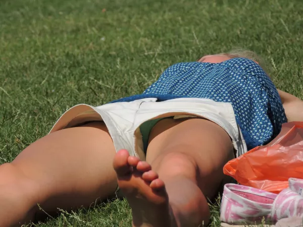 In the tall grass (high-res) by pelfie