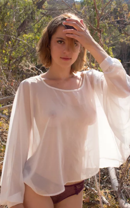 In the woods by snflange