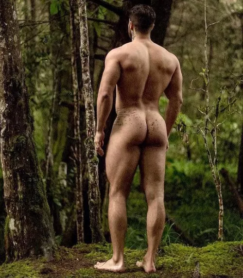 “In the woods” … by neilfromsydney2003