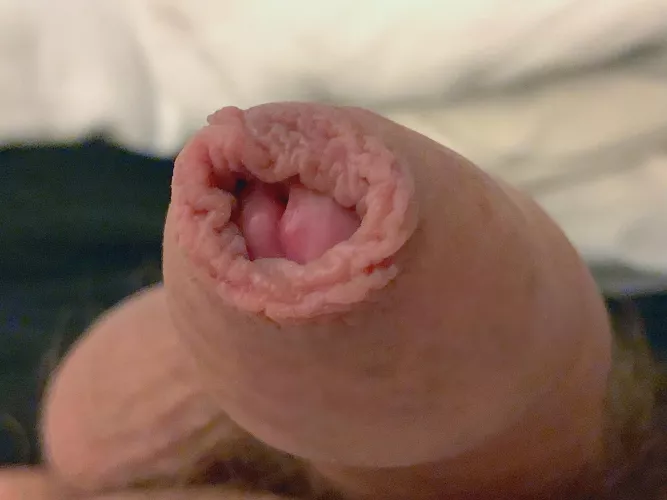 In the words of Selena, “Como la Flor” 🌹 by yayforeskin