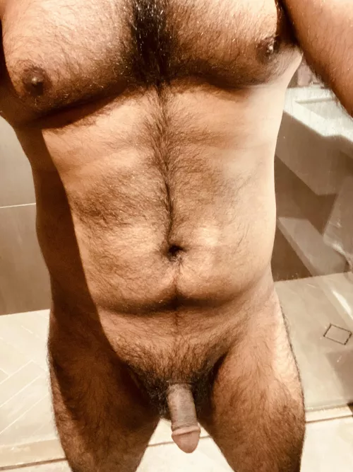 Indian brown bear by indianbrownbear