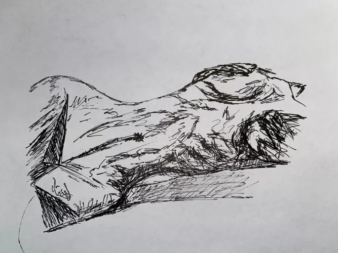 ink on paper by tboneithink