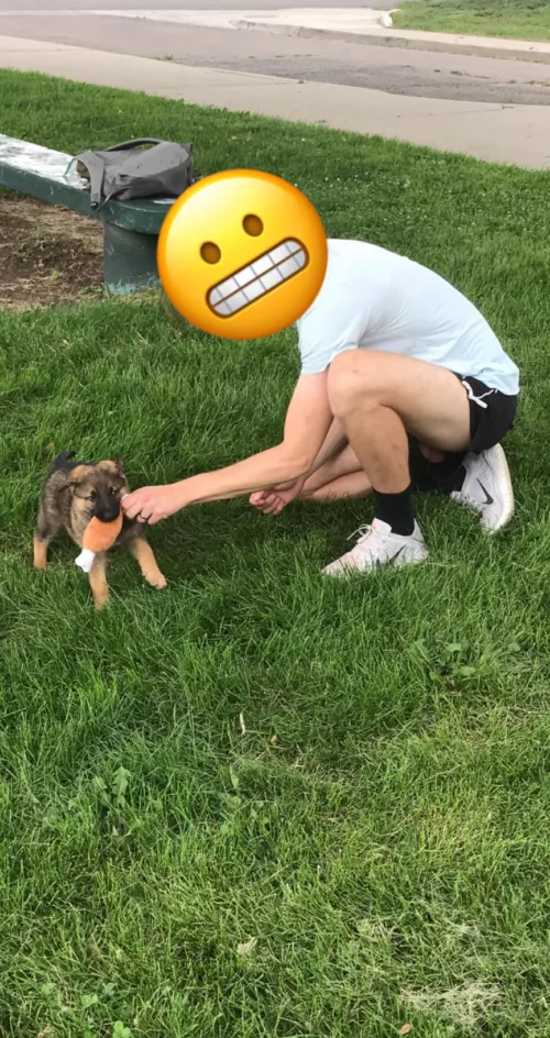 Innocent dick slip at the park