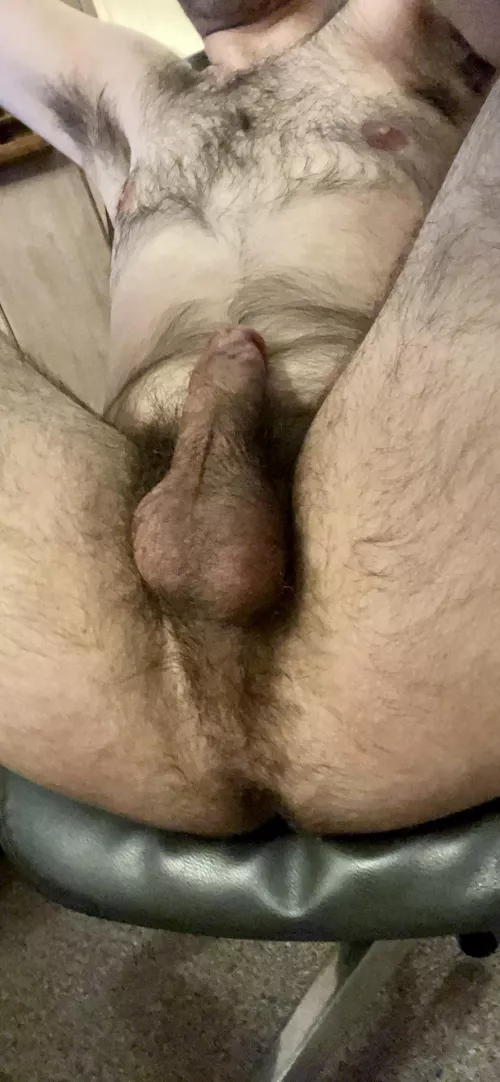 Insatiable pig 🐽 by latentpig