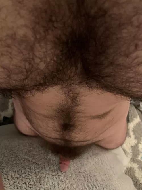 Insert face and relax by BriGui25