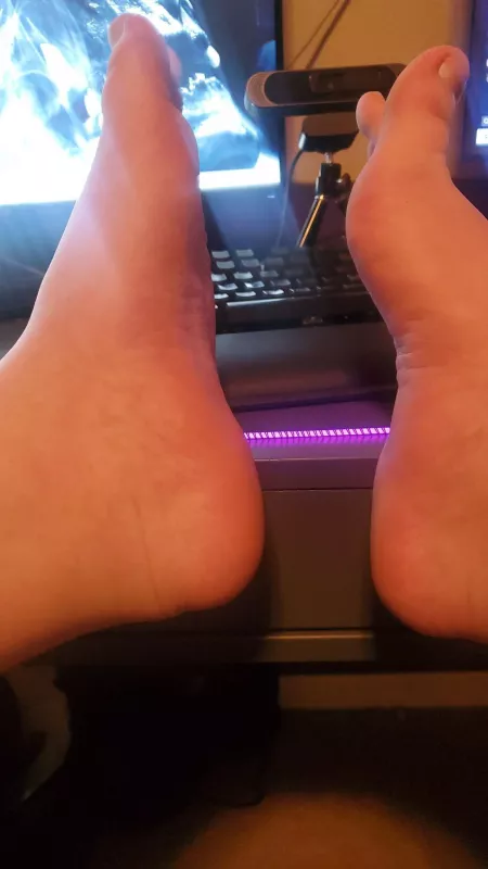 *Insert face here* by Bearfoot_Demon