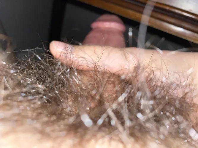 Inside the forest (18m) by jackbaley360