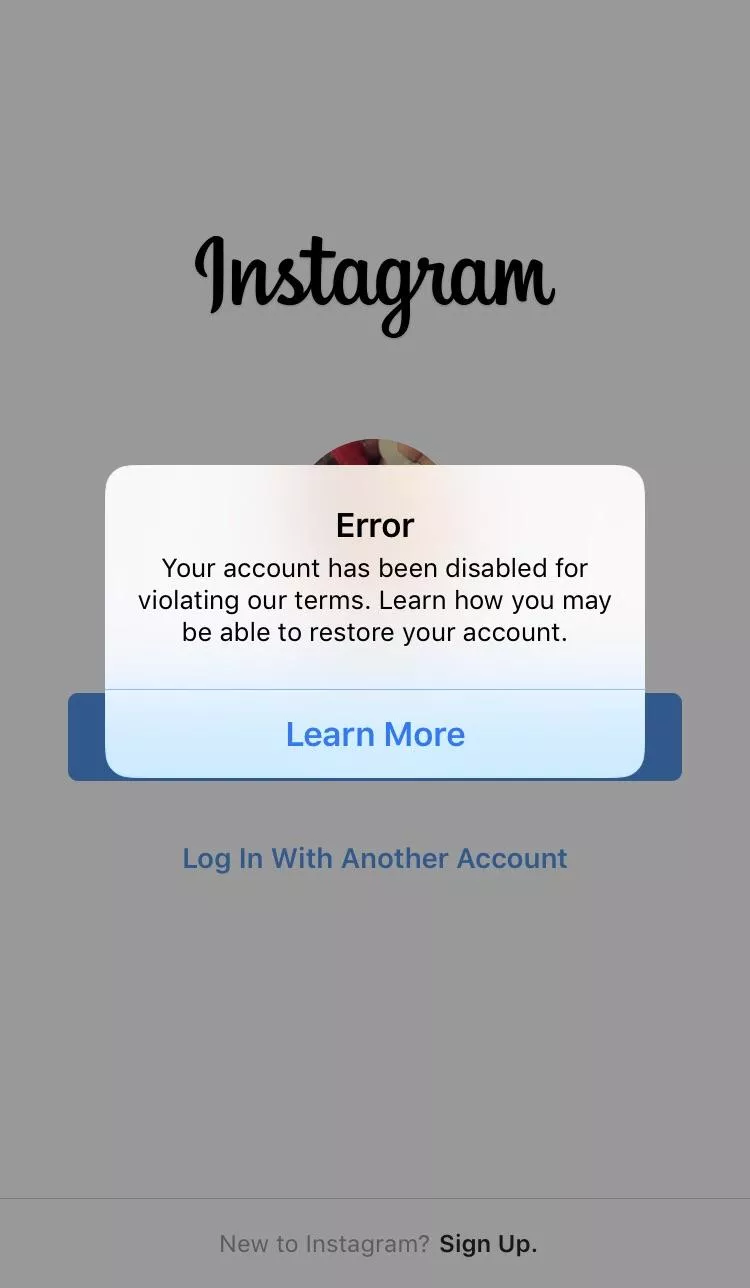 Instagram banned my account. Merry Christmas I guess. posted by nakedbakerstv
