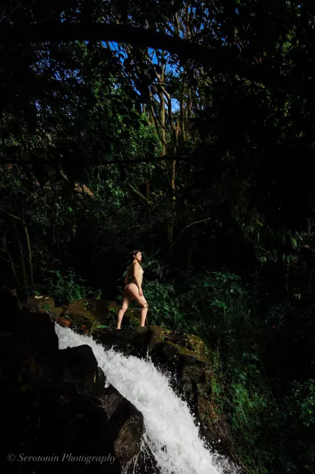 Into the thick of it by bellatrixortreat