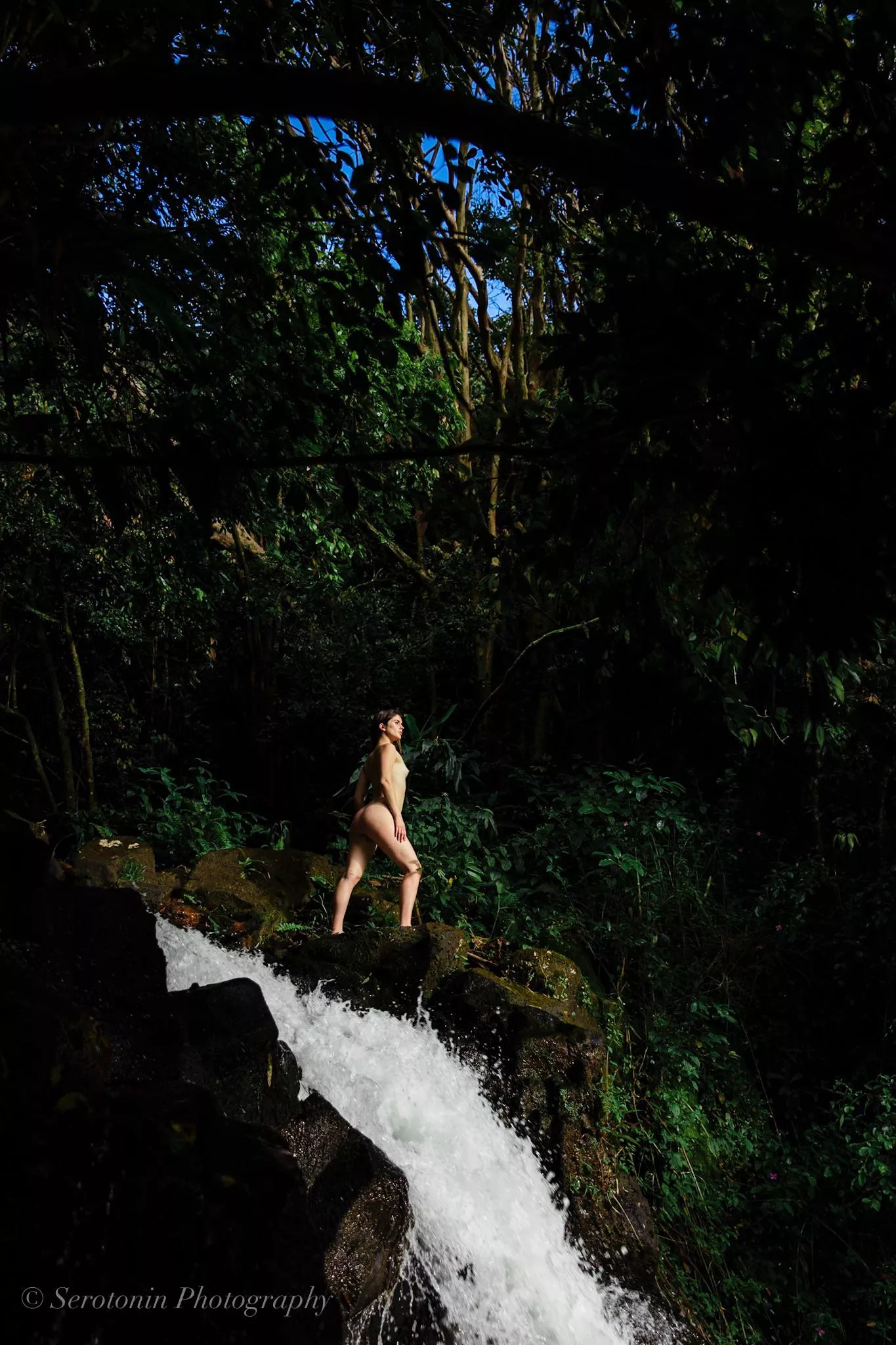 Into the thick of it posted by bellatrixortreat