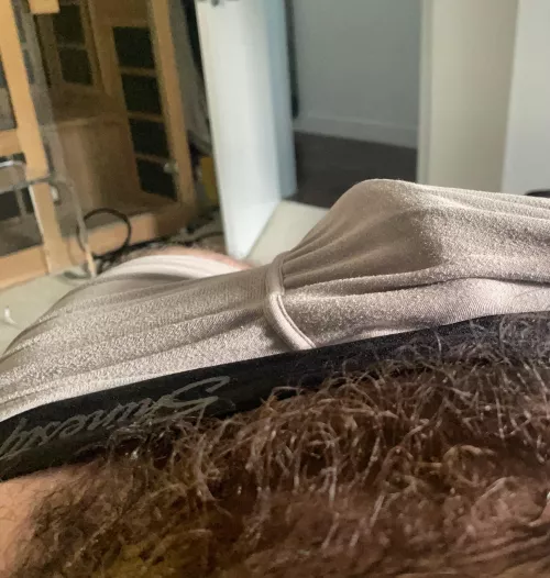 Into the woods… by BigTree7591