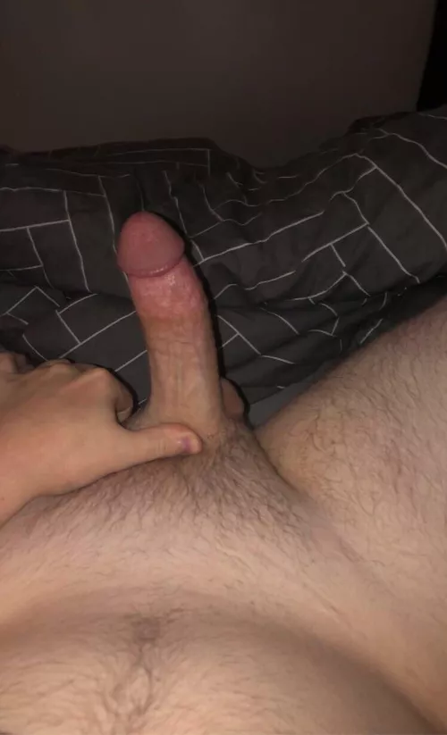 Is anyone active? by LS331